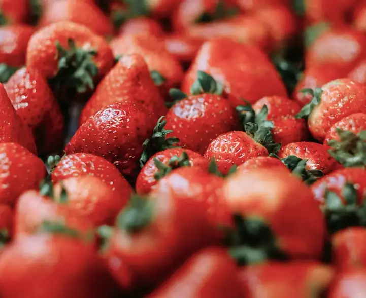 Chiiiigofarmのいちご